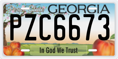 GA license plate PZC6673