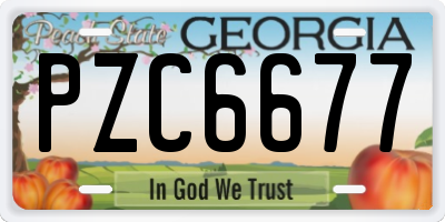 GA license plate PZC6677