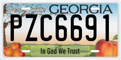 GA license plate PZC6691