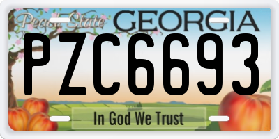 GA license plate PZC6693