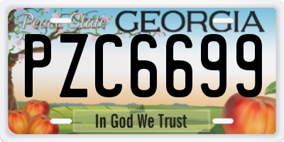 GA license plate PZC6699