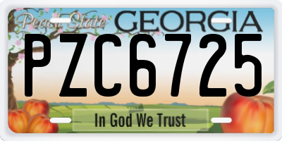 GA license plate PZC6725
