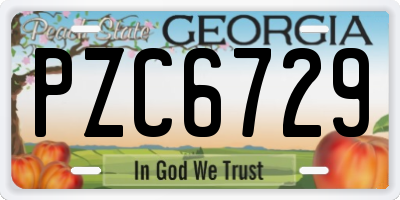 GA license plate PZC6729