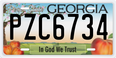 GA license plate PZC6734