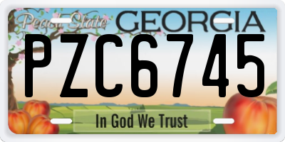 GA license plate PZC6745