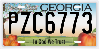GA license plate PZC6773