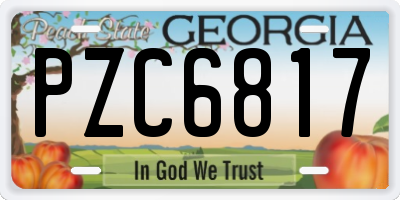 GA license plate PZC6817