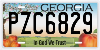 GA license plate PZC6829