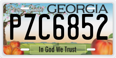 GA license plate PZC6852