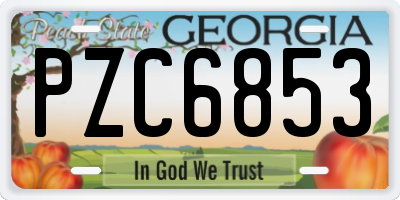 GA license plate PZC6853