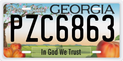 GA license plate PZC6863