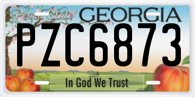 GA license plate PZC6873