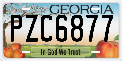 GA license plate PZC6877