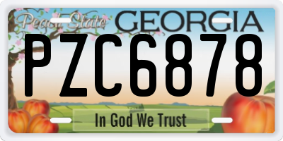 GA license plate PZC6878