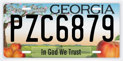 GA license plate PZC6879