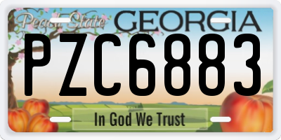 GA license plate PZC6883