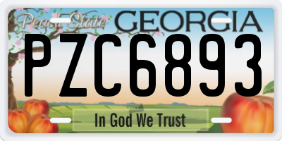 GA license plate PZC6893