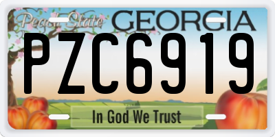 GA license plate PZC6919