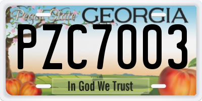 GA license plate PZC7003