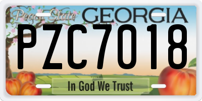 GA license plate PZC7018