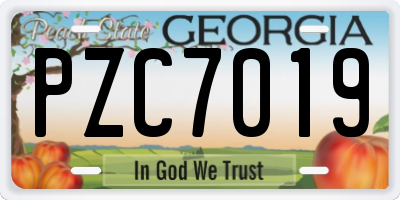 GA license plate PZC7019