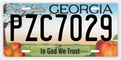 GA license plate PZC7029