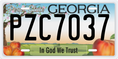 GA license plate PZC7037