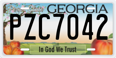 GA license plate PZC7042