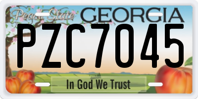 GA license plate PZC7045