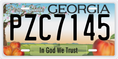 GA license plate PZC7145