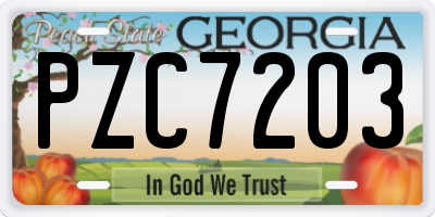GA license plate PZC7203