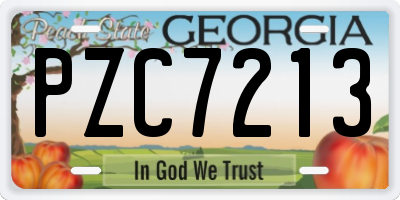 GA license plate PZC7213