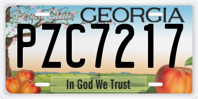 GA license plate PZC7217