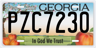GA license plate PZC7230