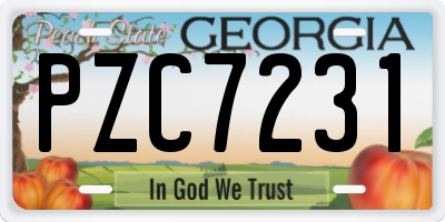GA license plate PZC7231