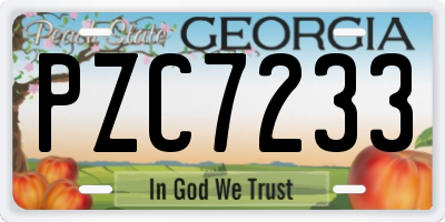 GA license plate PZC7233