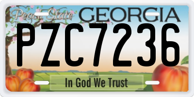 GA license plate PZC7236