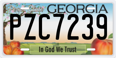 GA license plate PZC7239