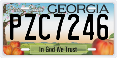 GA license plate PZC7246