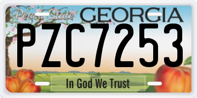 GA license plate PZC7253