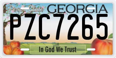 GA license plate PZC7265