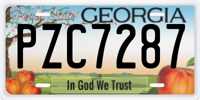 GA license plate PZC7287