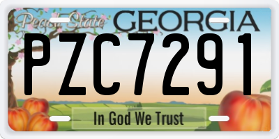 GA license plate PZC7291