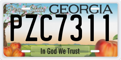 GA license plate PZC7311