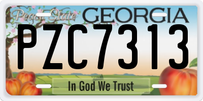 GA license plate PZC7313