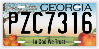 GA license plate PZC7316