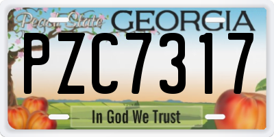 GA license plate PZC7317