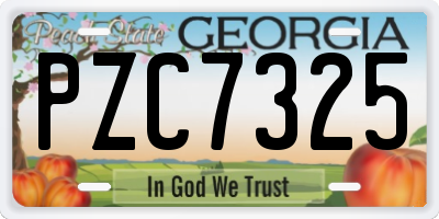 GA license plate PZC7325