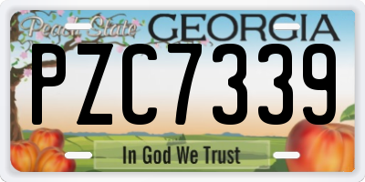 GA license plate PZC7339