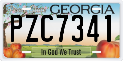 GA license plate PZC7341